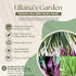 Liliana's Garden Pack 50 Bunching Onion Mix Bunching Onion Seeds Fast-Growing Bunching Onions Red, Long White