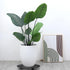 ZYNERY 10 PCS Plant Level Pot Elevator, Planter Stands for Outdoor Plants, Pot Saucers, Indoor Plant Risers, 11.8in