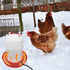 (2 Pack) Chicken Water Heater Cord, Freeze-Proof Heated Waterer for Chickens & Poultry, Safe Low-Watt Heating Cable