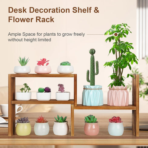 5 Countertop Tiered Small Window Plant Shelf,Wooden Desktop Plant Stand Indoor ,Table Top Plants Shelves,Window Sill
