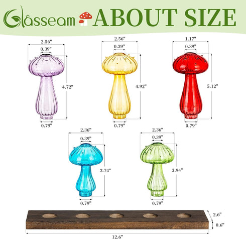 Glasseam Mushroom Plant Propagation Station: Cute Glass Terrarium Jar with Wooden Stand Unqiue Planters for Indoor