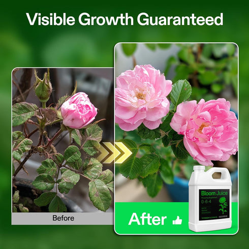 (0-6-4), 32 Ounces/1 VIVOSUN Bloom Juice Flowering Supplement Liquid Fertilizer for Flowering Stage, Concentrated Plant