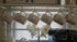 LOYMR 30 Pack 2.7 inches S Shape Hooks Heavy-Duty Metal Hanging Hooks Apply Kitchenware Bathroom Towels Utensils Plants