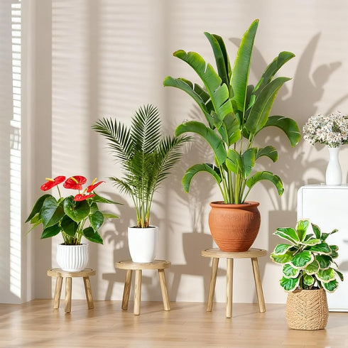 YUZUKYAUY 3 Pack 3 Pack) Plant Stand Indoor Outdoor Mid-Century Modern Plant Stool Wooden Plant Pot Holder Home Decor