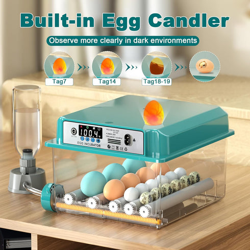 16 CoInceptus Eggs Incubators for Hatching Eggs, Egg Incubator with Automatic Egg Turning and Temperature Control