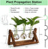 3 Bulb YIBOT Propagation Stations,Plant Terrarium with Retro Wooden Stand, Unique Gardening Birthday Gifts for Women
