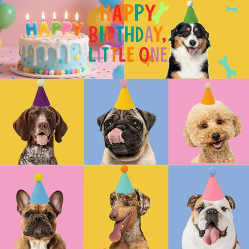 Assorted Mini Cone Hats for Stuffed Animals - Perfect for Birthday Celebrations