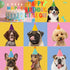 Assorted Mini Cone Hats for Stuffed Animals - Perfect for Birthday Celebrations