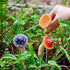 Mushroom Garden-Decor Fairy Garden-Accessories - Outdoor Spring Patio Decor Waterproof Mushroom Statues Patio Lawn