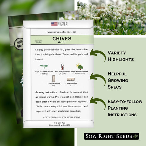 Packet (1) Sow Right Seeds - Garlic Chives Seeds for Planting - Non-GMO Heirloom with Instructions to Plant and Grow a