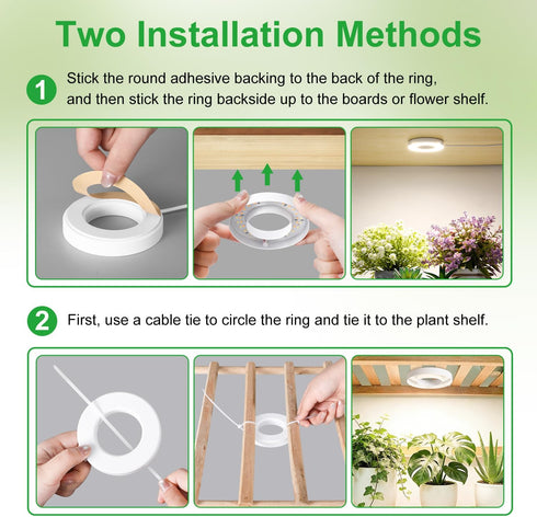 3.54" 6/12/16H 10 Dimmable Plants,2Head RWNTAO Ceiling Grow Light for Indoor Plants, Warm&White Full Spectrum Plant