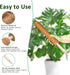 PLANTPOLEX 2 Pack 17 Inch Moss Pole, Monstera Plant Support for Climbing Plants Accessories Indoor, Stackable Moss