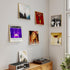 12 inch Album etc.6 Pack Laurensory Vinyl Record Shelf Wall Mount, Clear Acrylic Record Holder Display, Floating