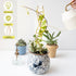 3PCS Yohsnor DNA Plant Trellis Indoor and Outdoor - Lightweight Metal Trellis for Potted Plants, Hoya & Pothos Climbing