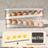Auto Rolling Fridge Egg Organizer, Space Saving Eggs Dispenser for Refrigerator Storage, Home Egg Holder