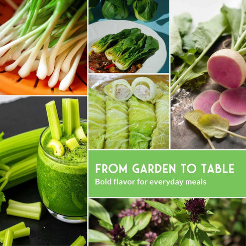 Survival Garden Seeds - Asian Vegetable Collection Seed Vault for Planting - Thai Basil, Napa Cabbage, Canton Pak Choi