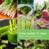 Survival Garden Seeds - Asian Vegetable Collection Seed Vault for Planting - Thai Basil, Napa Cabbage, Canton Pak Choi