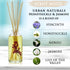 Urban Naturals Honeysuckle & Jasmine Reed Diffuser Oil Set - Long Lasting Air Freshener Made in USA