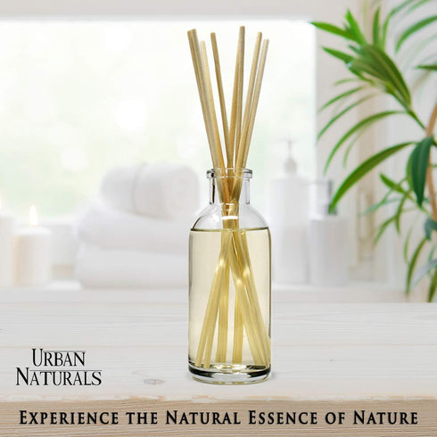 Urban Naturals Vetiver Home Fragrance Reed Diffuser Set - Masculine Fragrance for Man CAVE