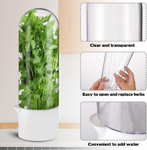 Sibosen 3 Pack 2-3 Herb Saver for Refrigerator Large Fresh Herb Keeper Cilantro Container for Refrigerator Vegetable