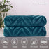 Whale Flotilla Flannel Fleece Throw Blanket, Lightweight Soft Plush Chevron Design, 50x60 Inch, Teal for Couch Sofa Bed