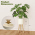Bamworld Single Plant Holder for Indoor Plants Metal Planter Stand Wooden Leg White Plant Stand Indoor Flower Pot Stand