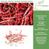 25+ 85% Taylor Dwarf Horticulture Bush Bean Seeds (Phaseolus vulgaris) Non-GMO Heirloom Cranberry Bean Seeds