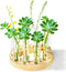 Melphoe Glass Bud Vases Small Flower Vase for Centerpieces Wedding Table Decorations,