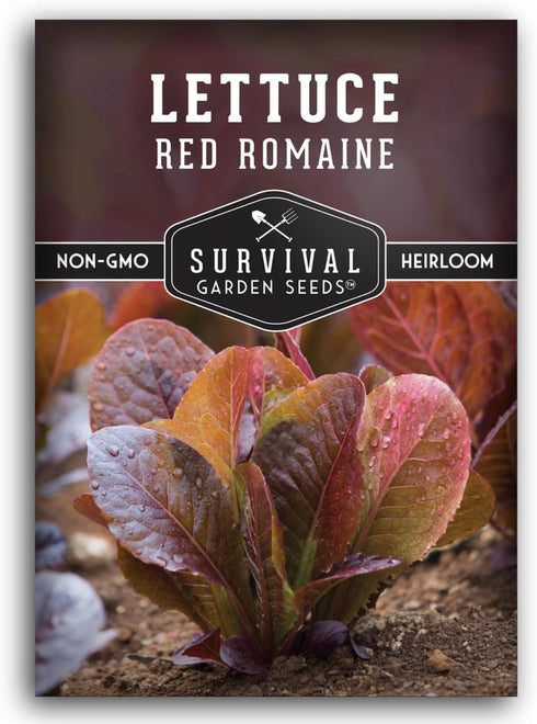 Red Romaine Lettuce Seeds for Planting - Crisp Red Leaf Romaine Lettuce