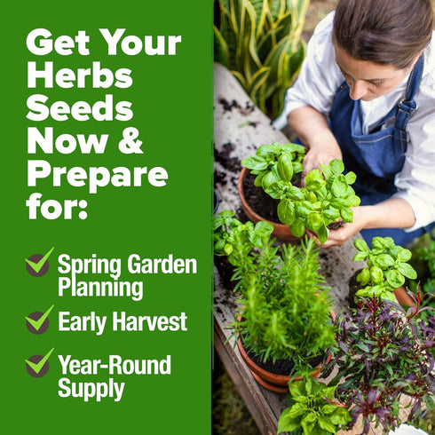 30 10,900+ Pack Set HOME GROWN Herb Seeds for Planting Non-GMO Heirloom Seeds | Extra Large Variety Herb Kit Indoor
