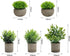 AUUGUU Artificial Potted Plants Faux Greenery in Cement Pots for Shelf, Bookshelf, Office or Home Decor, Small