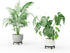 Zhongma 2 Pack 8.7" Fully Assembled Sturdy Potted Plant Stand Flower Pot Holder Heavy Duty Construction, Low Plant