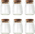 6Pcs 100ml Mini Glass Decorative Bottle with Cork Stopper, Empty Glass Jars for Party Wedding Favor Storage