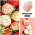 Mulberry. 100 Packaged Fruit Garden Seeds Kit for Growing - Elderberry, Blueberry, Red Strawberry, White Strawberry