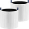 2 Pack Mimi Max Air Filter Replacement, True HEPA H13 Filter + Activated Filter for BLUEAIR Blue Pure Mini Max