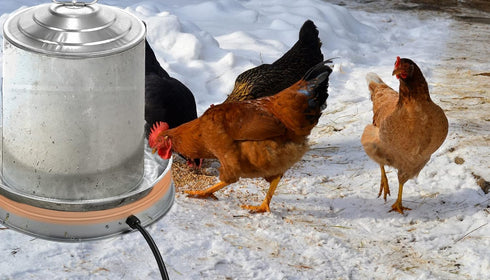 3 Gallons(11 inch), 125W Poultry Chicken Water Heater: Chicken Water Heater Base for Winter, for Plastic/Metal Poultry