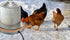 3 Gallons(11 inch), 125W Poultry Chicken Water Heater: Chicken Water Heater Base for Winter, for Plastic/Metal Poultry