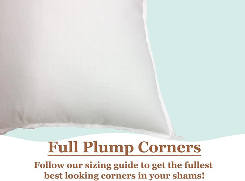 Pillowflex Premium Polyester Throw Pillow Insert - 20x20 - Ultra Soft Small Square Pillow, Couch Sham, 1 Soft