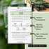 Packet (2) Sow Right Seeds - Lacinato Kale Seed for Planting - Non-GMO Heirloom with Instructions to Plant a Home