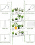 4-Tier Jolitac Acrylic Window Plant Shelves, Hanging Indoor Wall Plant Stand, (Clear)