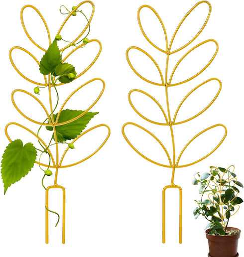 Mozeat Lens Metal Trellis for Potted Plants, 2 Pack 12'' Small Leaf Shape Plant