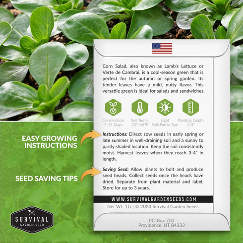(5 Packs) Corn Salad Seeds for Planting - Mache, Lamb's Lettuce - Cold Hardy Salad Greens - Heirloom Verte de Cambrai