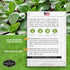 (5 Packs) Corn Salad Seeds for Planting - Mache, Lamb's Lettuce - Cold Hardy Salad Greens - Heirloom Verte de Cambrai