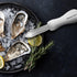 4Pcs Oyster Shucking Knife White Oyster Opener Stainless Steel Oyster Shucker New Haven Style with Non-slip Handle