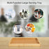 Counter, Bamboo Food Serving Tray with Handles, Breakfast Bed Tray for Tea,Snack,Dinner, Home Decorative Storage Food