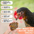 FLAREFX 18oz 8 Premium Nesting Herbs | Chickens Coop & Nesting Box Odor Control | Natural Dried Herbs Blend for Hen