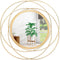 Gold Circular Art Mirrors for Wall, Classic Metal Iron Frame Decor for Living Room, Bedroom, Bathroom