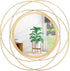 Gold Circular Art Mirrors for Wall, Classic Metal Iron Frame Decor for Living Room, Bedroom, Bathroom