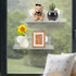 2 Pack 9 Inch Window Plant Shelves, Acrylic Suction Cup Shelf, Window Sill Extender for Indoor Succulents, Herb