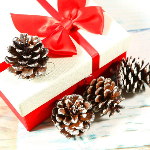 Cooraby 24 Pieces Christmas Pine Cones Ornament, Natural with String for Tree Decoration (Snow)